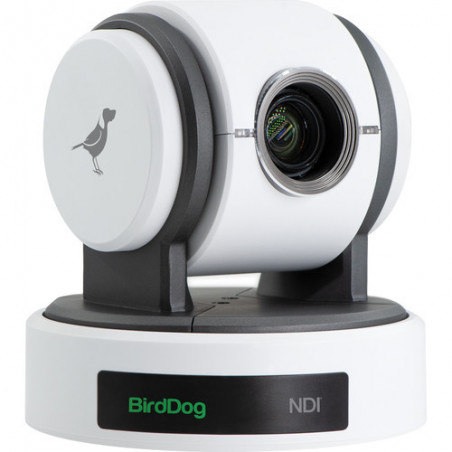 BirdDog Eyes P100 Kamera PTD 1080p Full NDI (biała)