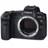 Canon EOS R + EF-RF Adapter + RF 24-105mm F4L IS USM