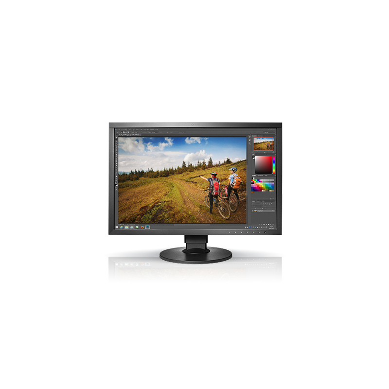 Eizo ColorEdge CS2420 monitor LCD z matrycą 24" (CS2420-BK)