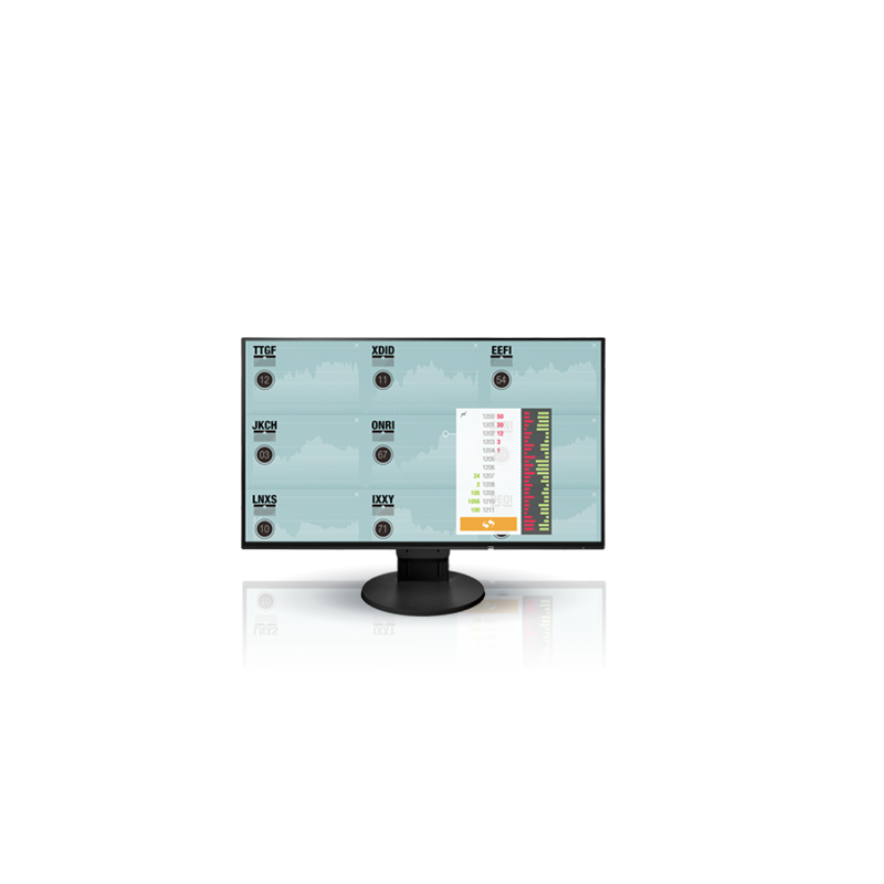 Eizo FlexScan EV2451monitor LCD z matrycą 24" (EV2451-BK)