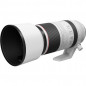 Canon RF 100-500mm f/4.5-7.1 L IS USM