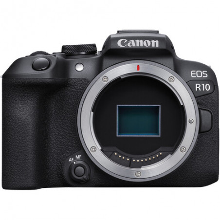Canon EOS R10 + MT adapter EF-EOS R
