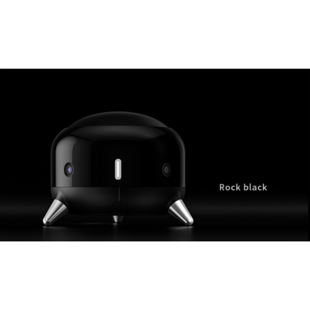 RgbVoice A2 Robot (kamera 360 stopni)