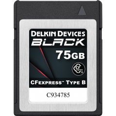 Karta pamięci Delkin CFexpress BLACK R1725/W1240 75GB