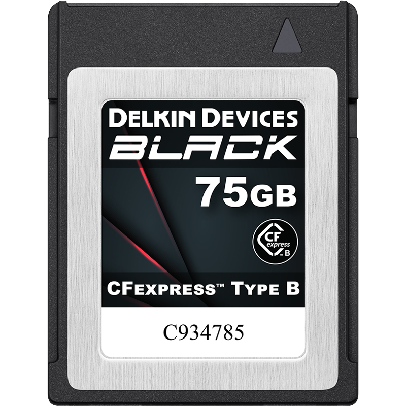 Karta pamięci Delkin CFexpress BLACK R1725/W1240 75GB