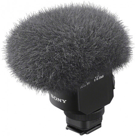 ECM-M1 mikrofon kierunkowy
