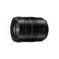 Panasonic Leica DG Vario-Elmarit 12-60mm f/2.8-4 ASPH. POWER O.I.S.