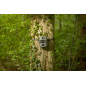WildcameraXL Camouflage EZ2 Ultra