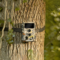 WildcameraXL Camouflage EZ60 WIFI