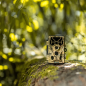 WildcameraXL Camouflage EZ45 WIFI