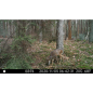 WildcameraXL Camouflage EZ45 WIFI