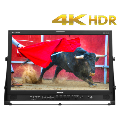 Monitor Postium OBM-W240