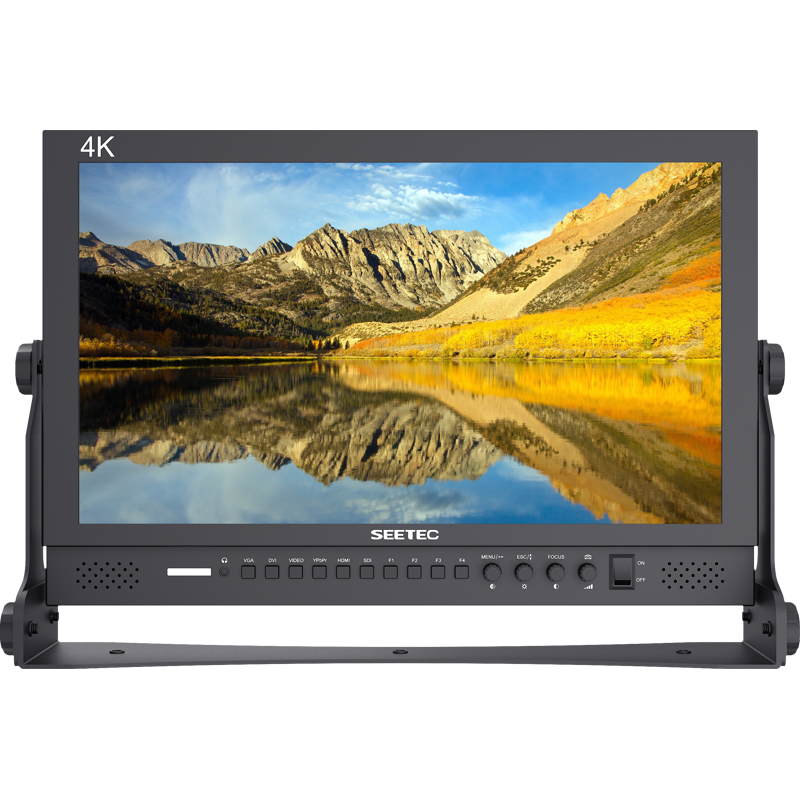 SEETEC P173-9HSD 17.3" monitor referencyjny
