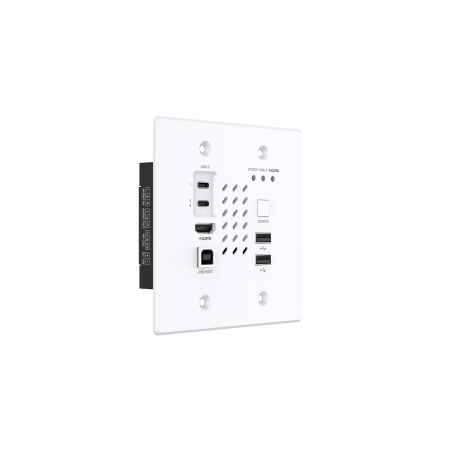 Turtle AV Chazy 4K Wall Plate Tx