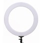 PRO STUFF Lampa LED Ring PLR 18 II ze statywem - biały