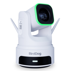 BirdDog X4 Ultra White. 2160p60 (4K 60p) kamera PTZ z 20x Zoom