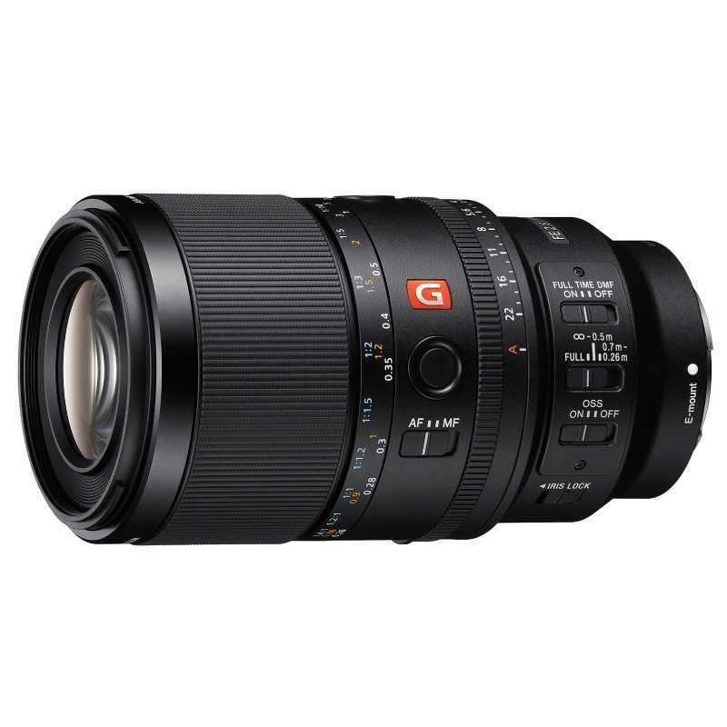 Sony FE 100mm f/2.8 Macro GM OS