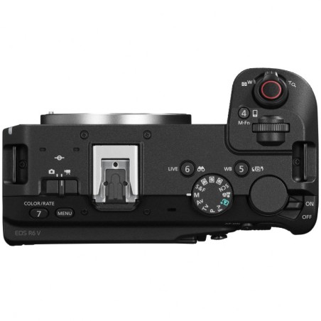 Canon EOS R6 V body