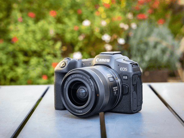 canon eos r8