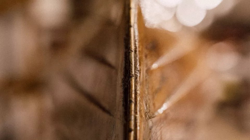 Niezrównana przysłona f/2.8