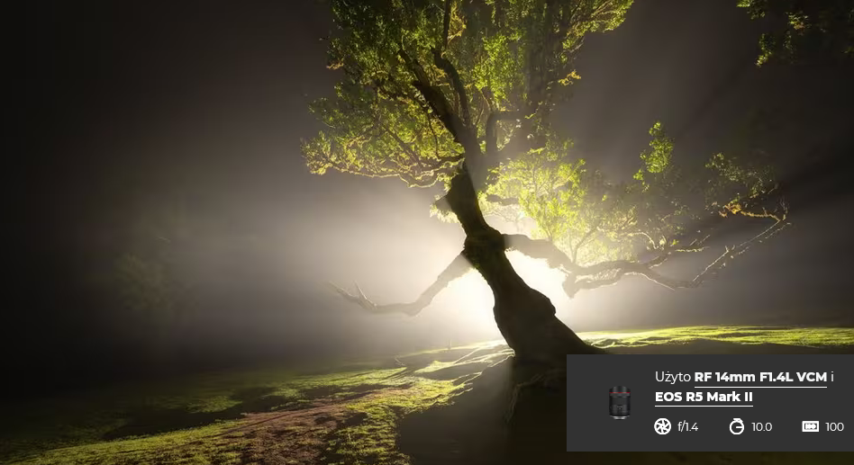 Bezkompromisowa jakość obrazu