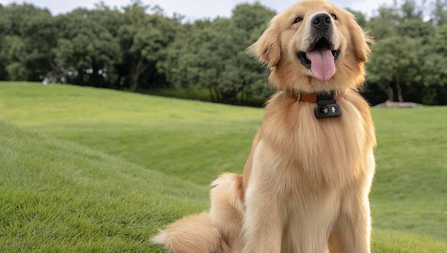 Obraz, który zachwyca szczegółami