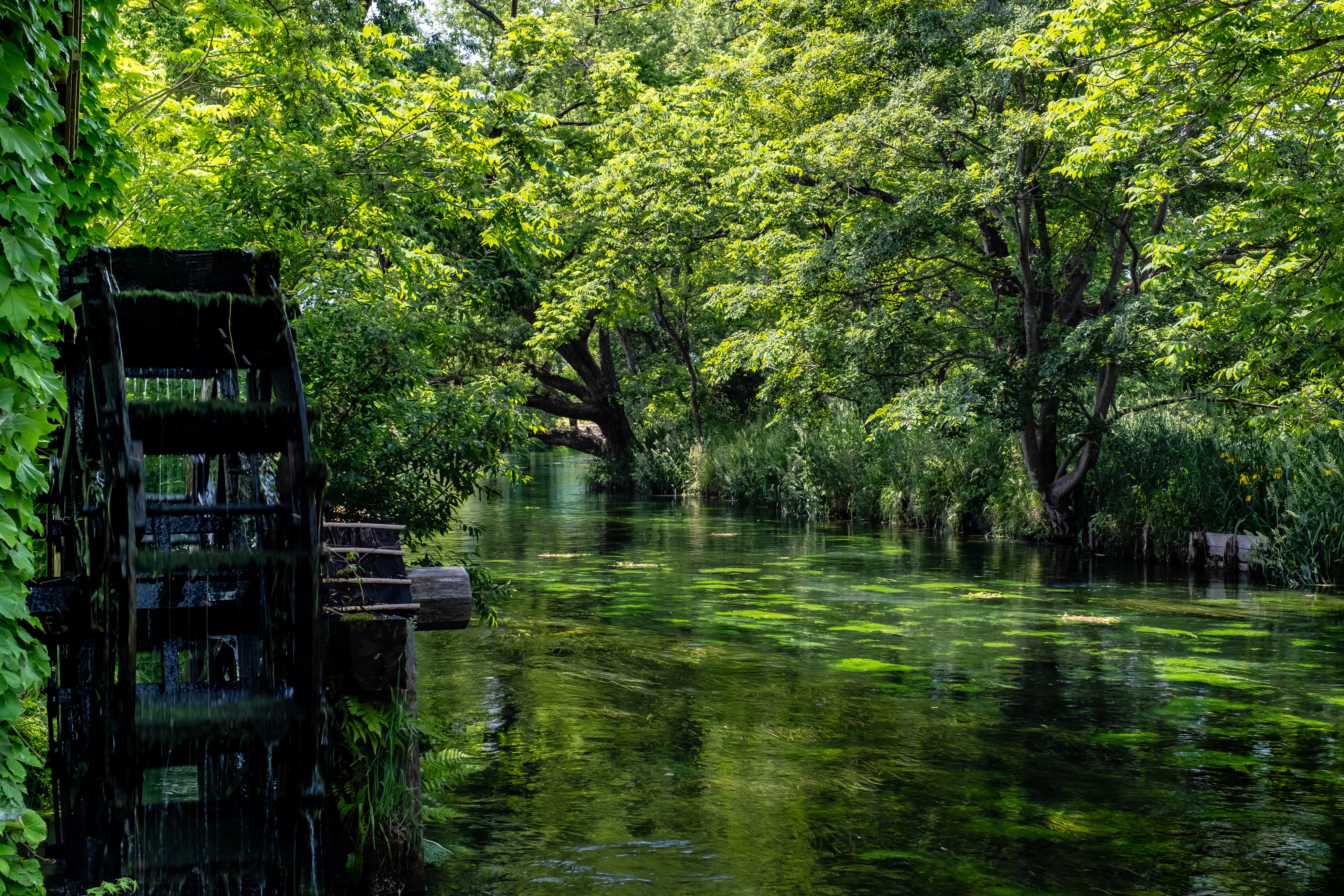 Water Wheel_w-CPL-min.jpg