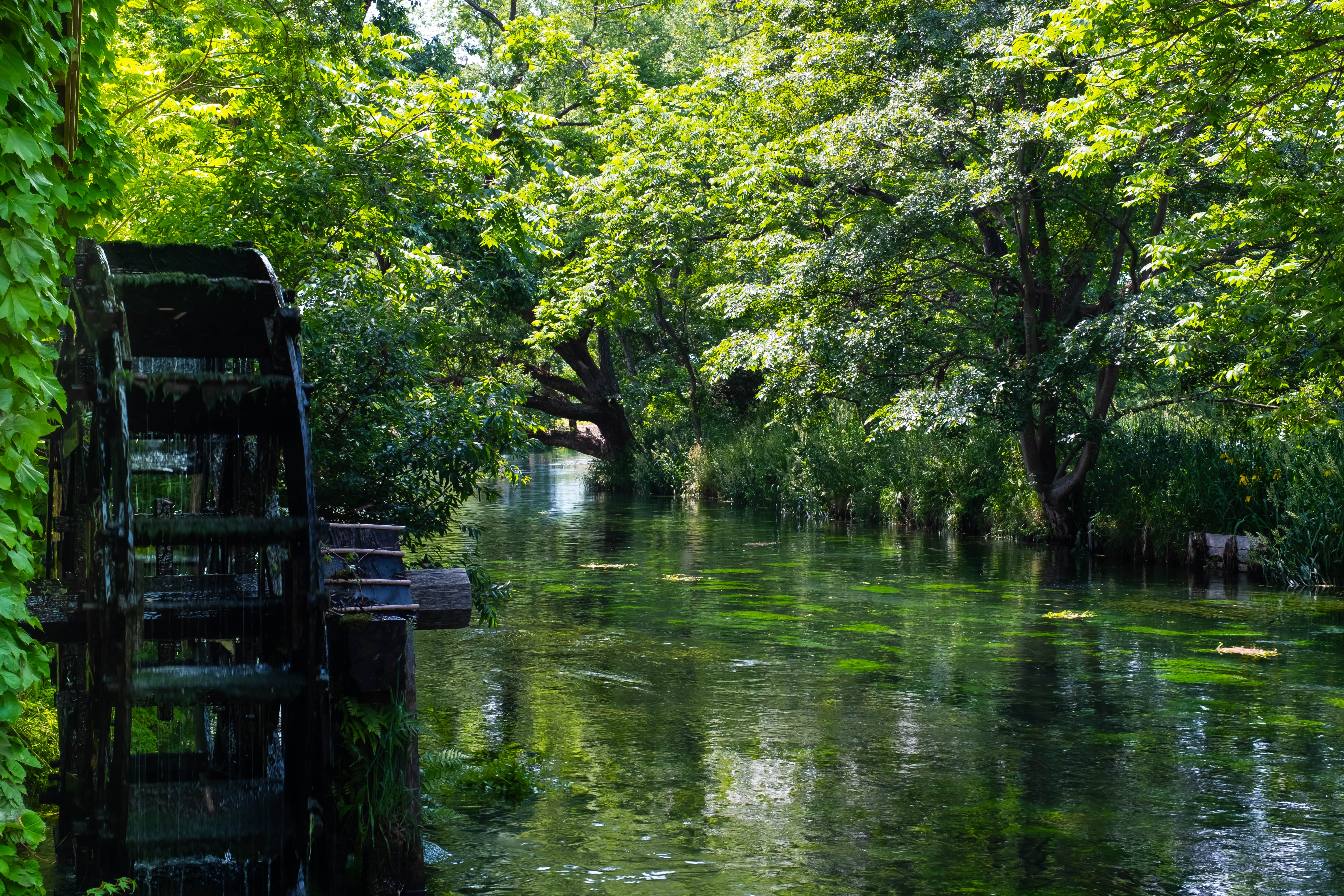 Water Wheel_wo-CPL-min.jpg