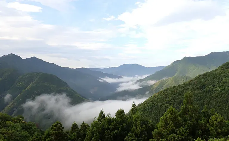wydajne fotografowanie