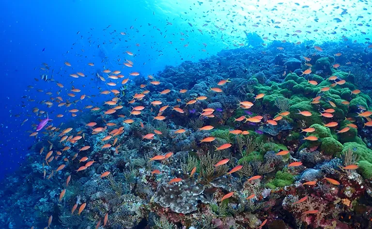 łatwość pod wodą