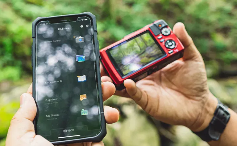 proste udostępnianie