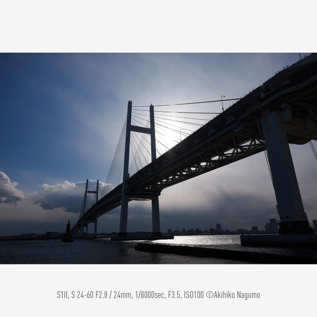 Każda chwila uchwycona z wyrazistością — czujnik 24,1 MP