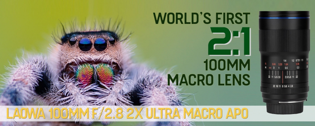 100mm-banner-1024x410.jpg