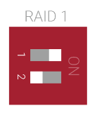 Raid1