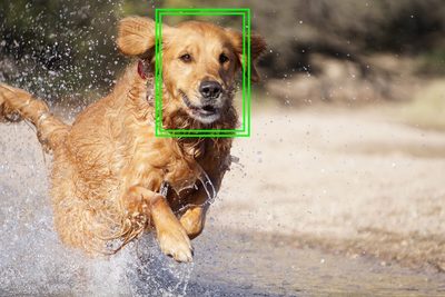 Sony ilc a6000 body  (8).jpg