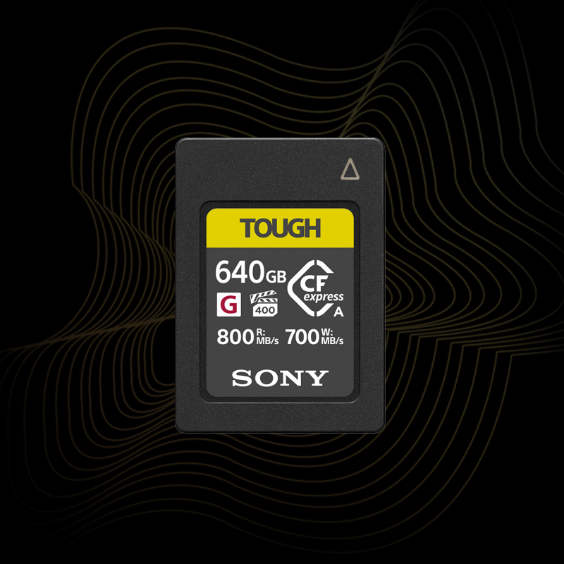 Sony 640Gb CEA-G.png