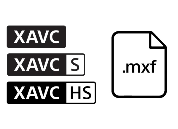 Wiele opcji formatów nagrywania