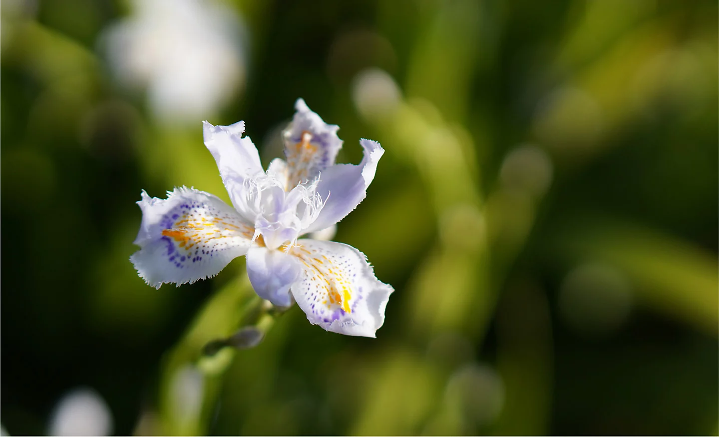 Profesjonalny wygląd prosto z aparatu
