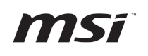 MSI